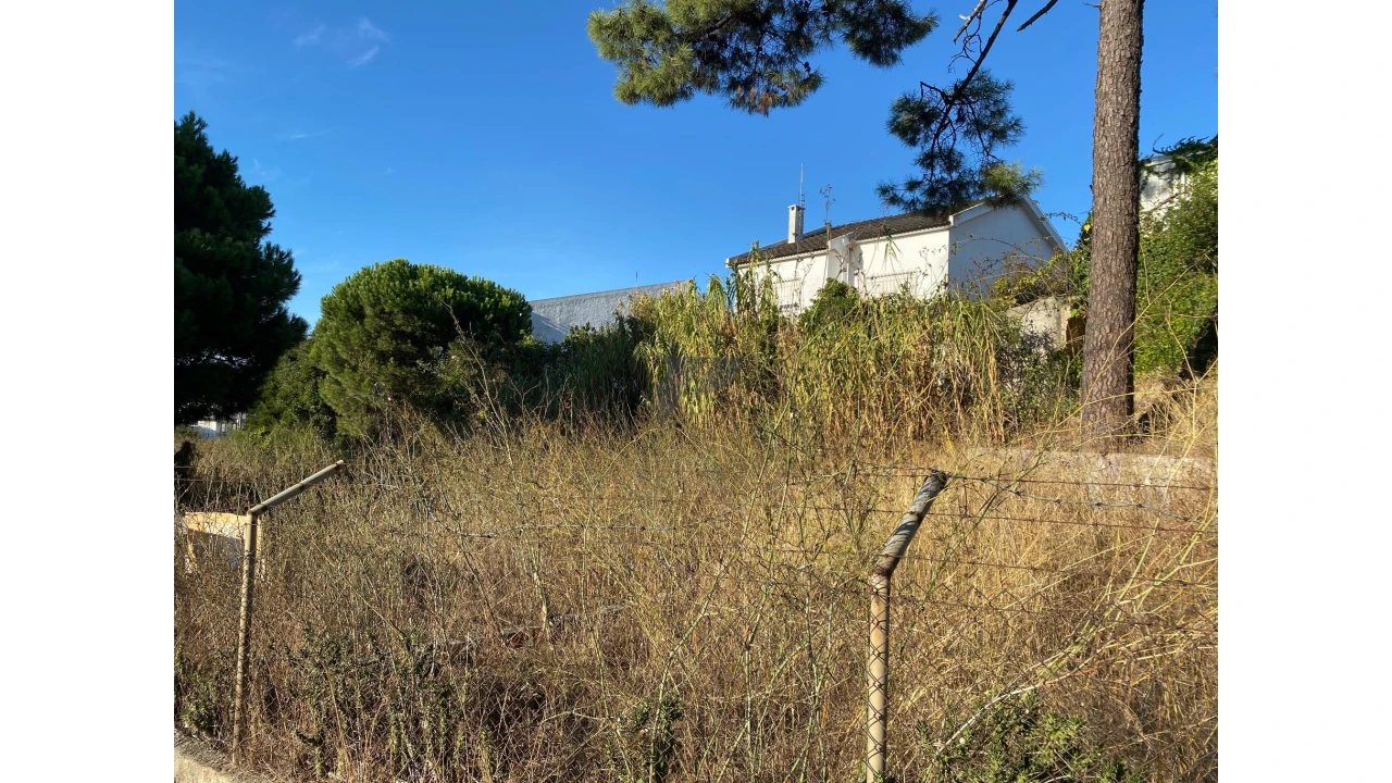 Terreno para Venda em Amora Foto 9