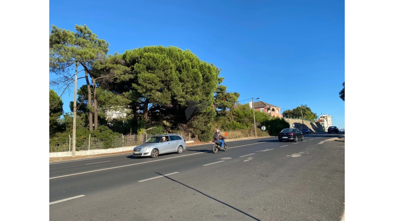 Terreno para Venda em Amora Foto 17