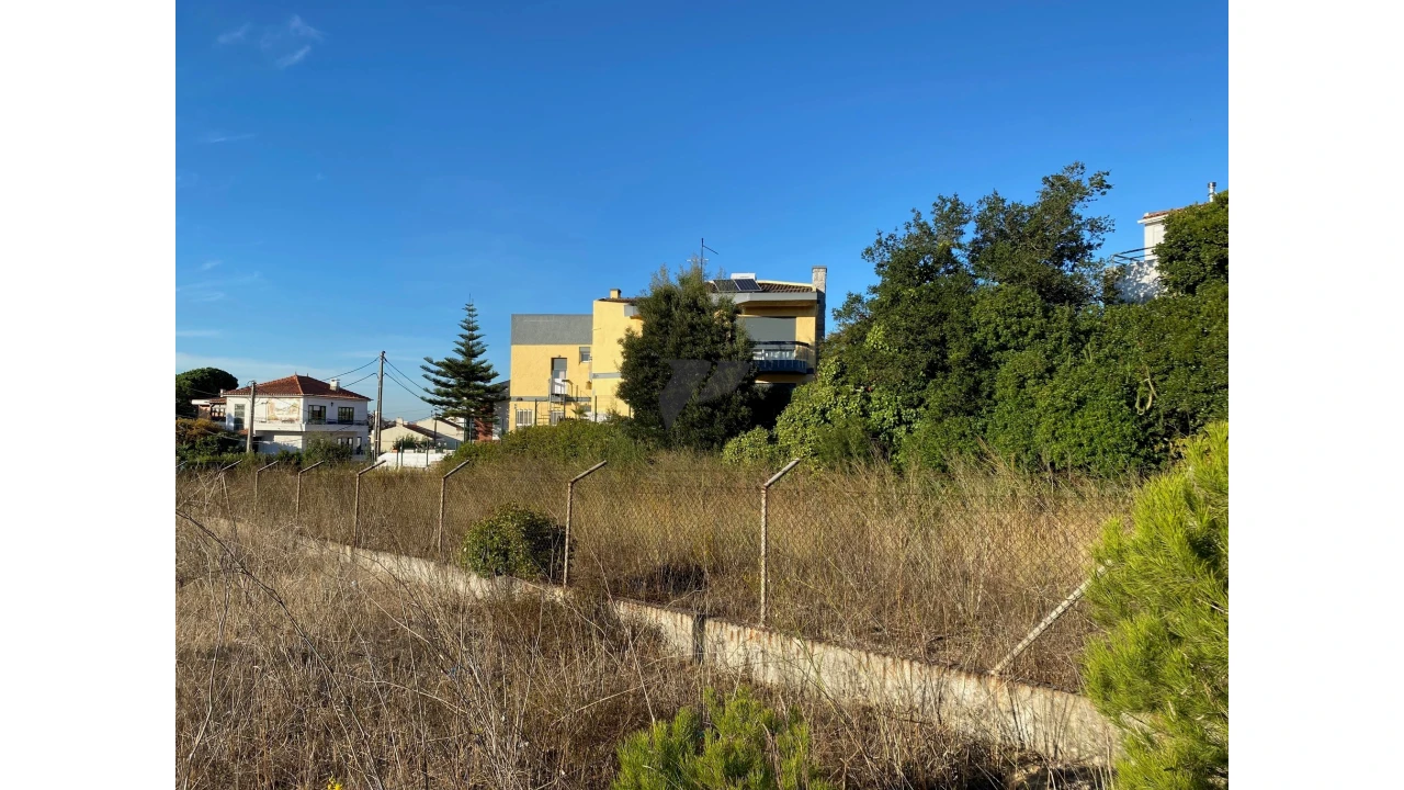 Terreno para Venda em Amora Foto 15