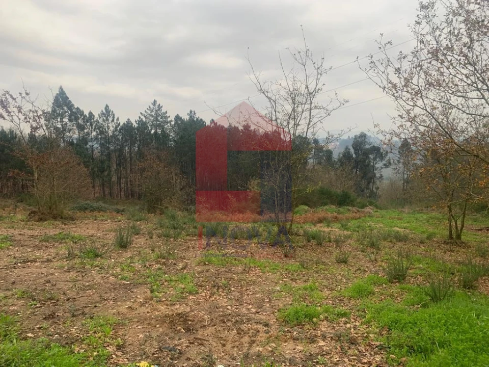 Terreno para Venda em Sabariz Foto 6