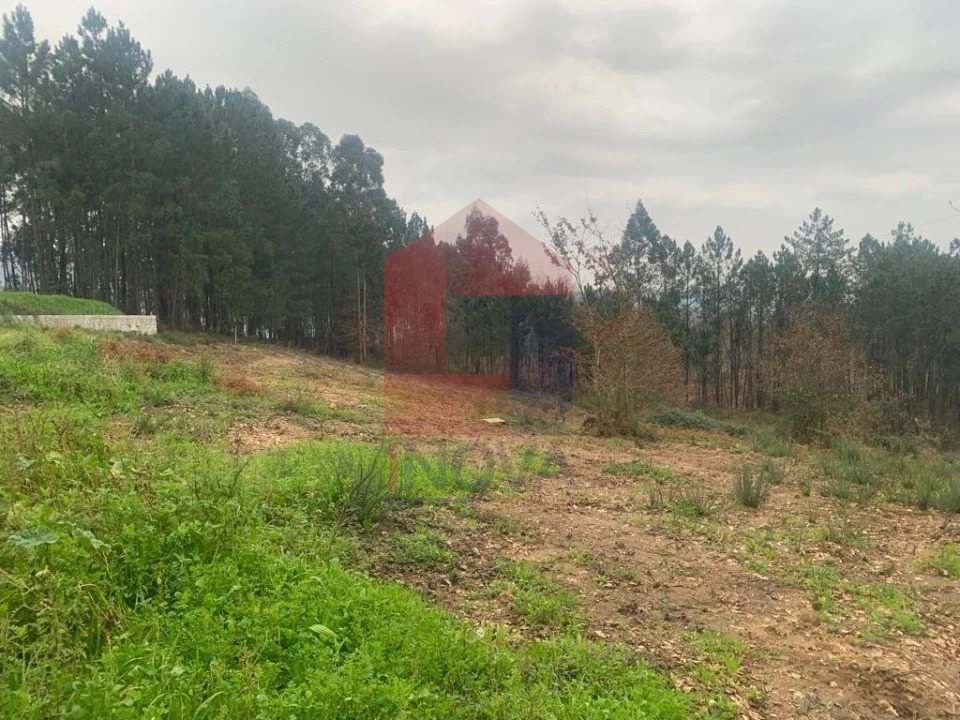 Terreno para Venda em Sabariz Foto 7