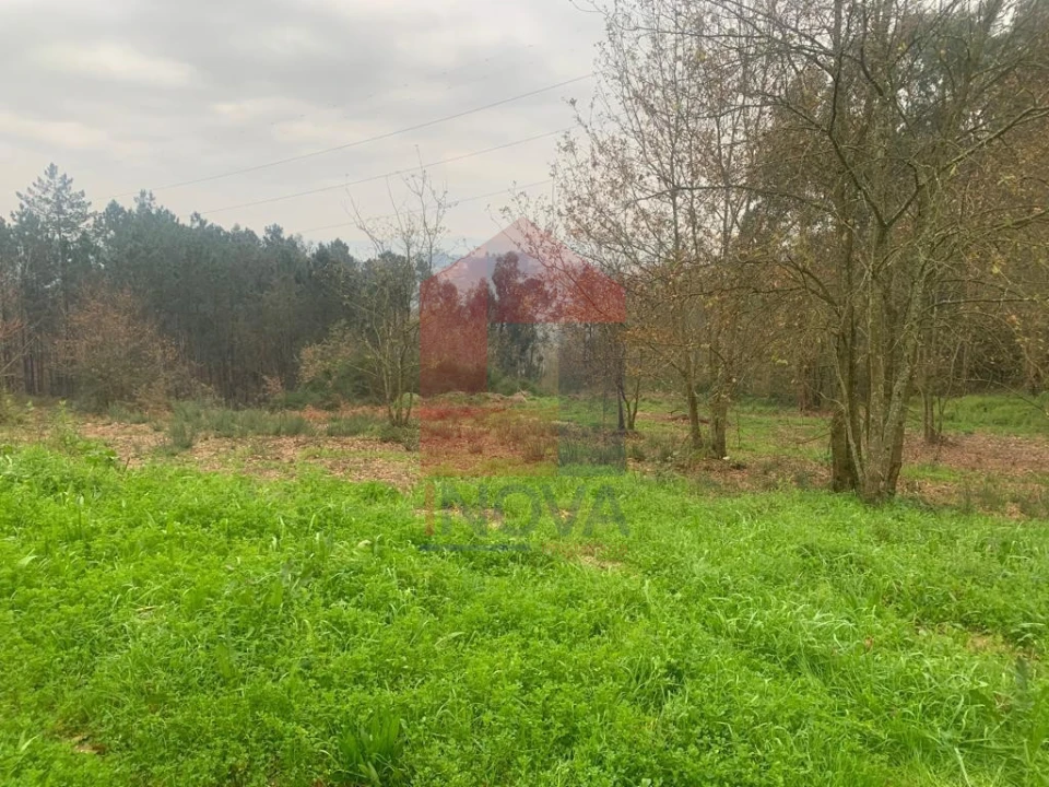 Terreno para Venda em Sabariz Foto 3