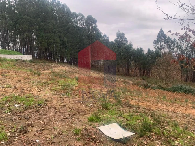 Terreno para Venda em Sabariz Foto 9