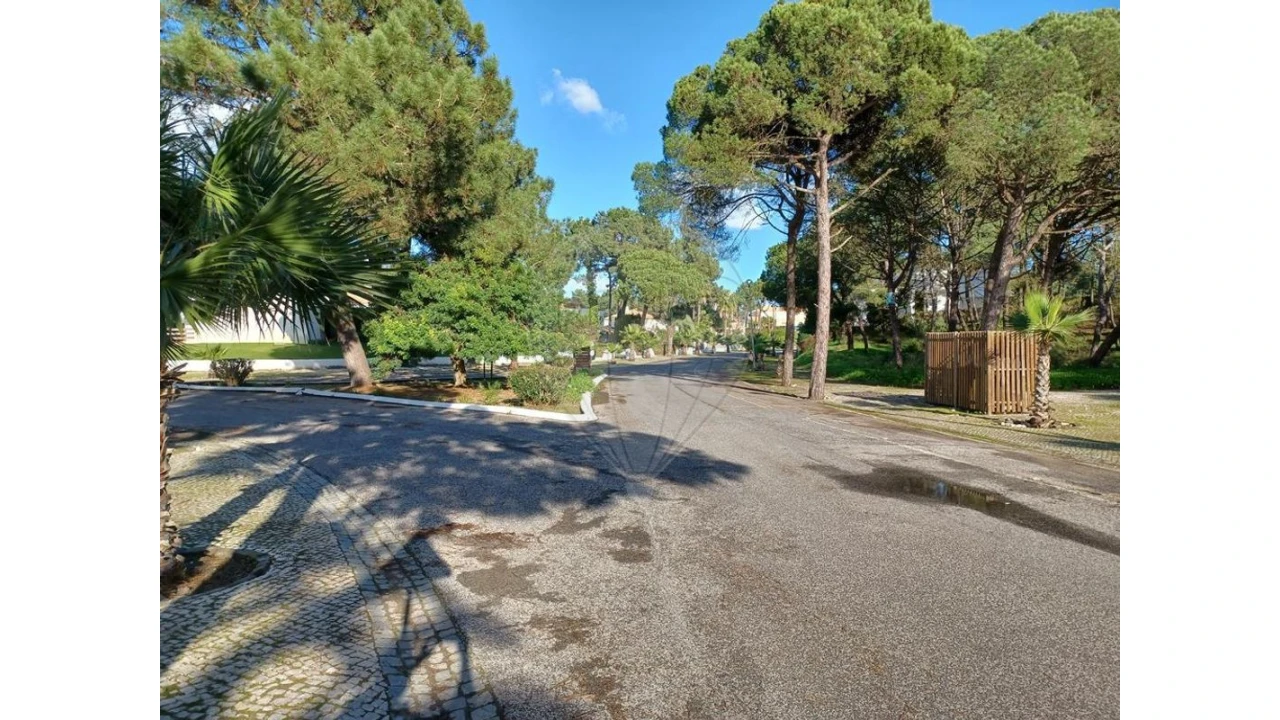 Terreno para Venda em Carvalhal Foto 4