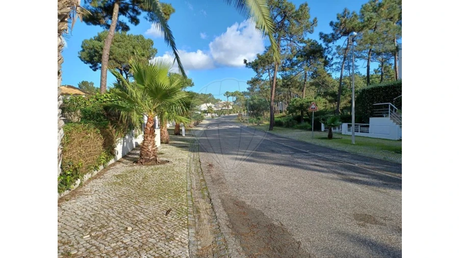 Terreno para Venda em Carvalhal Foto 3