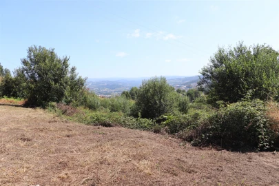 Terreno para Venda em Lustosa e Barrosas (Santo Estêvão)