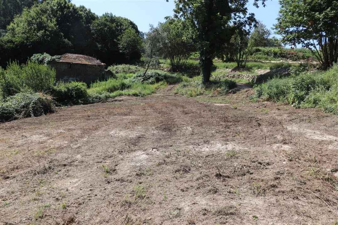 Terreno para Venda em Lustosa e Barrosas (Santo Estêvão) Foto 6