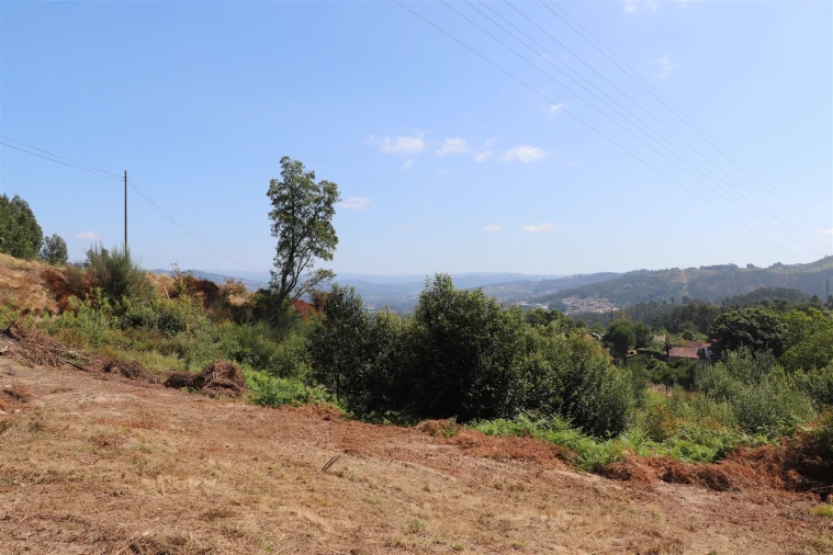 Terreno para Venda em Lustosa e Barrosas (Santo Estêvão) Foto 5