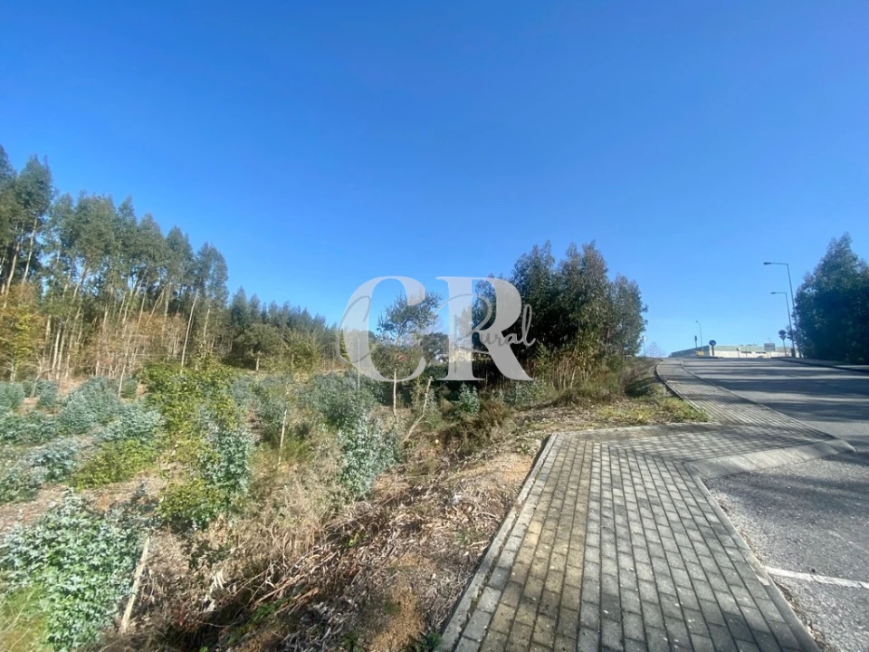Terreno para Venda em Figueiró dos Vinhos e Bairradas Foto 1