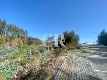 Terreno para Venda em Figueiró dos Vinhos e Bairradas