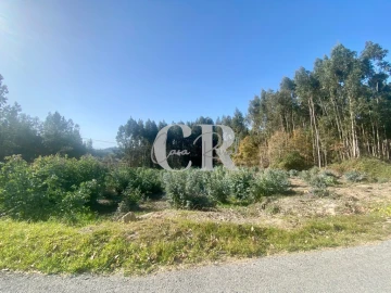 Terreno para Venda em Figueiró dos Vinhos e Bairradas