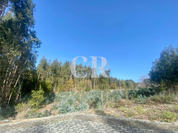 Terreno para Venda em Figueiró dos Vinhos e Bairradas Foto 3