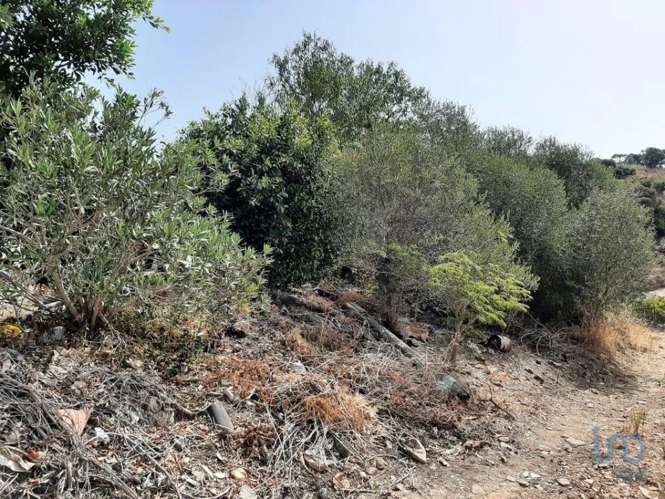 Moradia para Venda em Conceição e Cabanas de Tavira Foto 6
