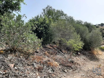 Moradia para Venda em Conceição e Cabanas de Tavira
