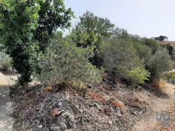 Moradia para Venda em Conceição e Cabanas de Tavira