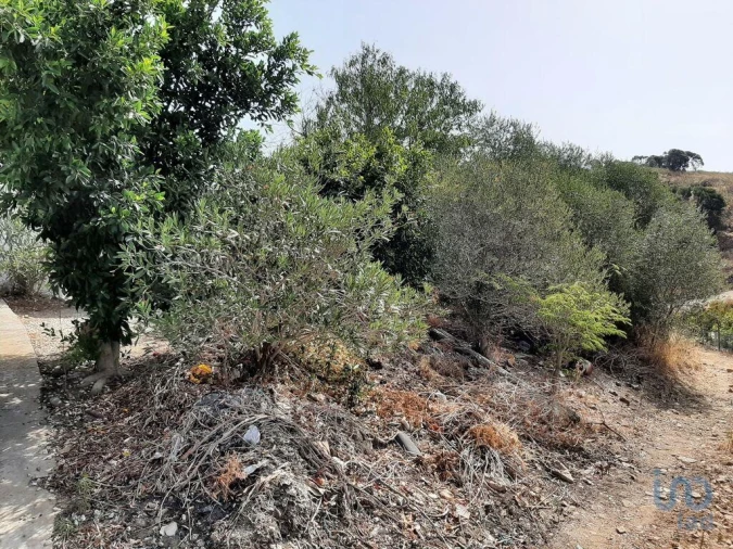 Moradia para Venda em Conceição e Cabanas de Tavira Foto 5