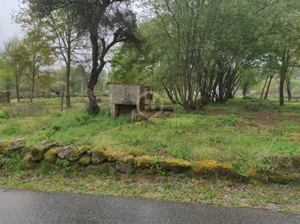 Terreno Misto para Venda em Orgens Foto 8