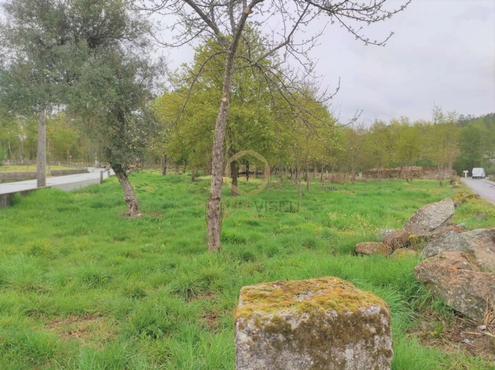 Terreno Misto para Venda em Orgens Foto 5