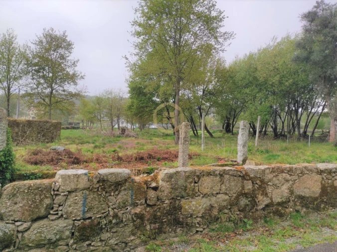 Terreno Misto para Venda em Orgens Foto 11