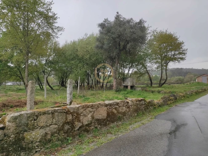 Terreno Misto para Venda em Orgens Foto 12