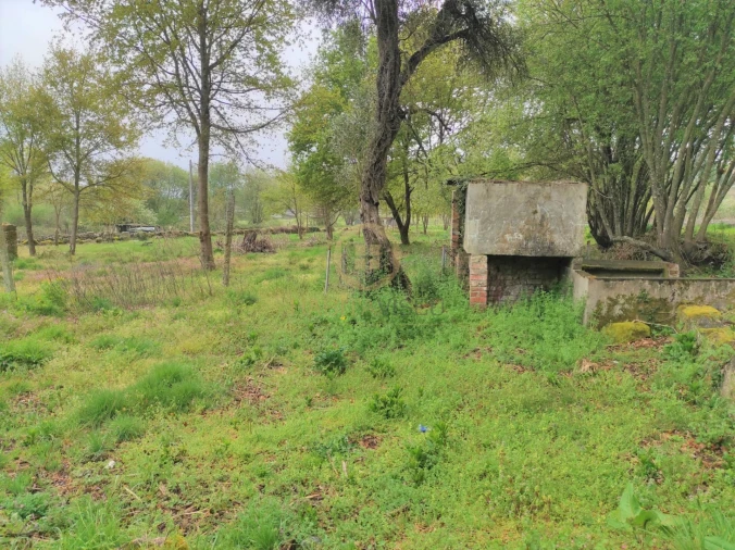 Terreno Misto para Venda em Orgens Foto 9