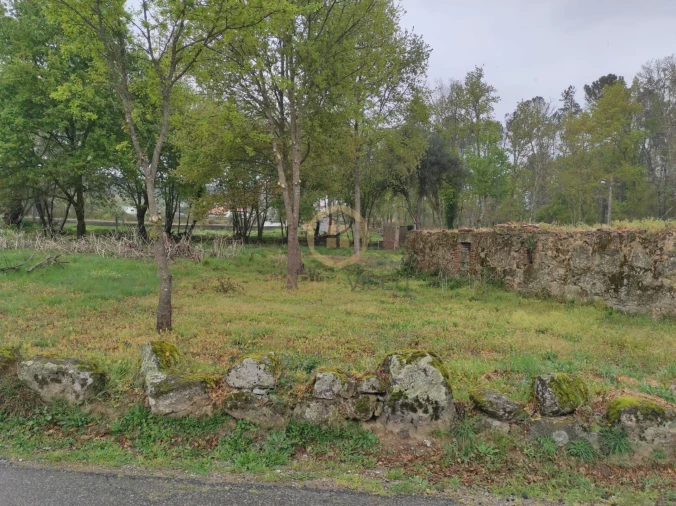 Terreno Misto para Venda em Orgens Foto 16