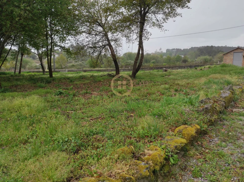 Terreno Misto para Venda em Orgens Foto 10