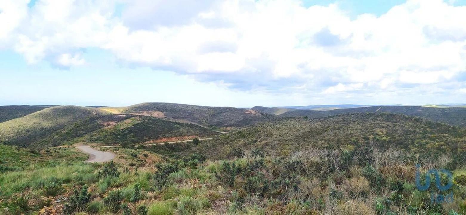 Terreno para Venda em Vila do Bispo e Raposeira Foto 10