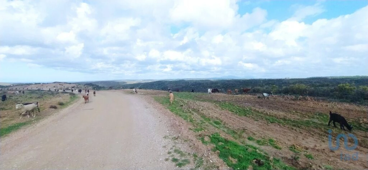 Terreno para Venda em Vila do Bispo e Raposeira Foto 5