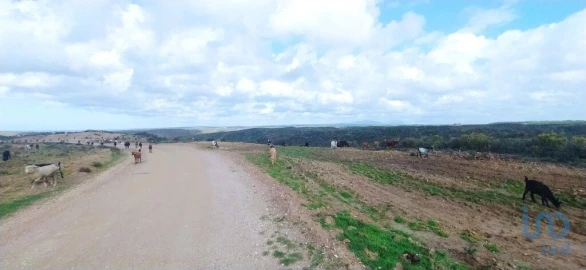 Terreno para Venda em Vila do Bispo e Raposeira
