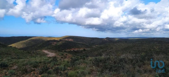 Terreno para Venda em Vila do Bispo e Raposeira