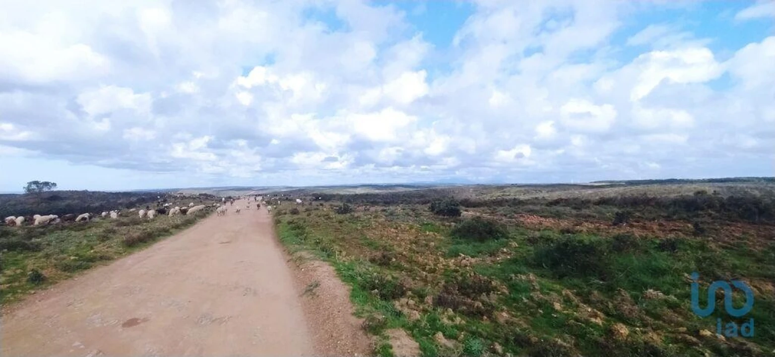 Terreno para Venda em Vila do Bispo e Raposeira Foto 2
