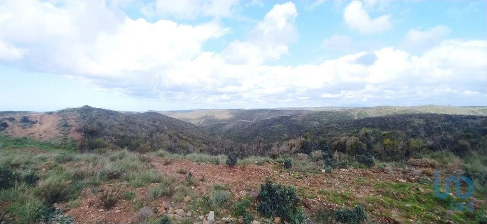 Terreno para Venda em Vila do Bispo e Raposeira Foto 6