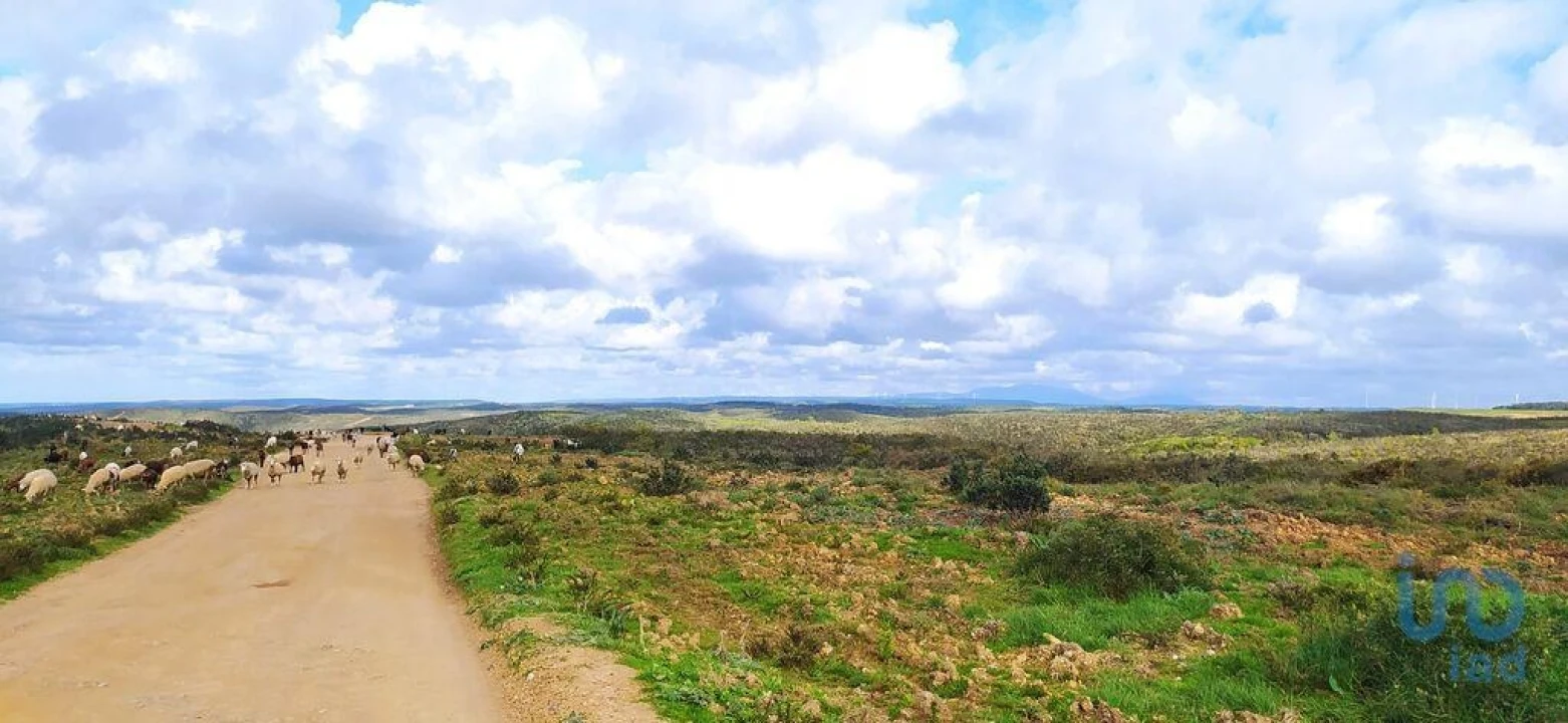 Terreno para Venda em Vila do Bispo e Raposeira Foto 1