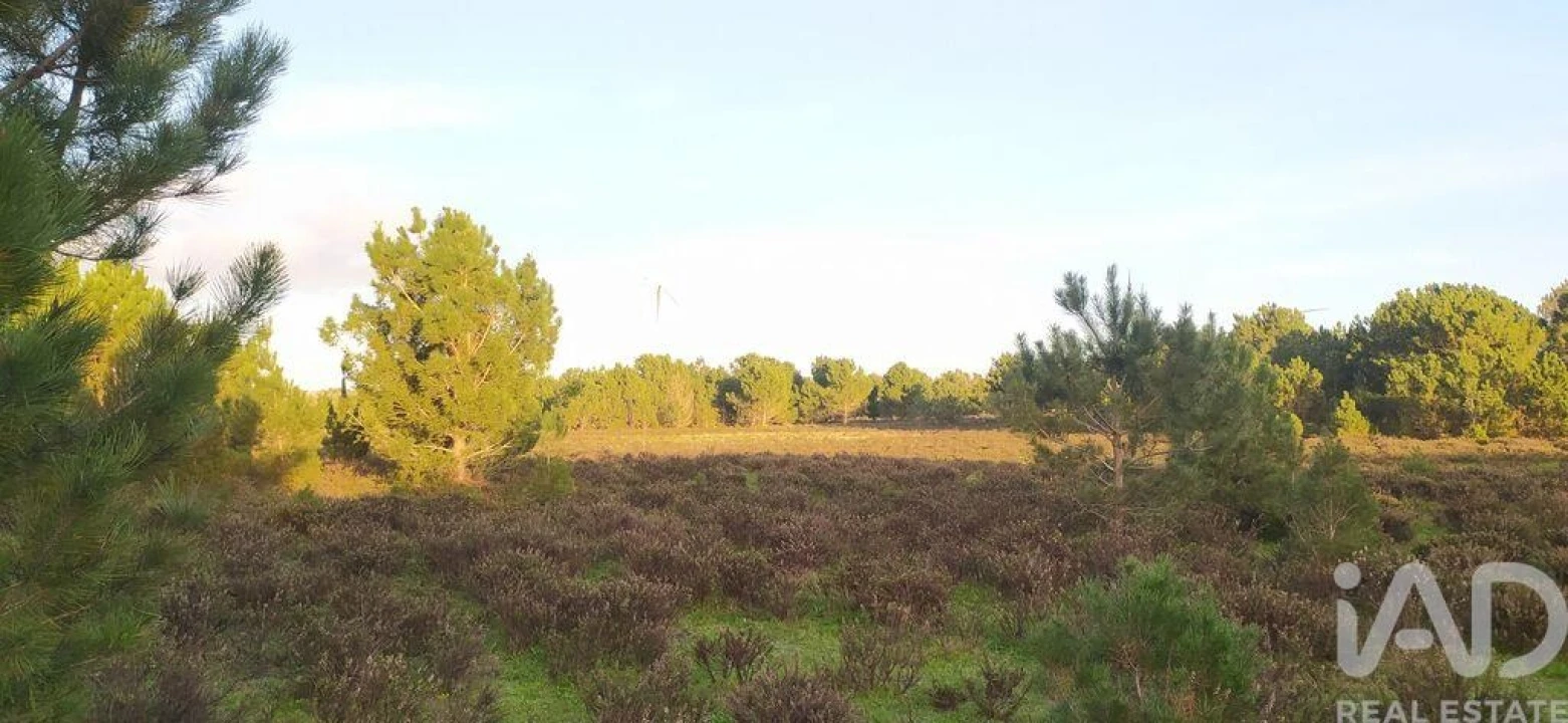 Terreno para Venda em Vila do Bispo e Raposeira Foto 26