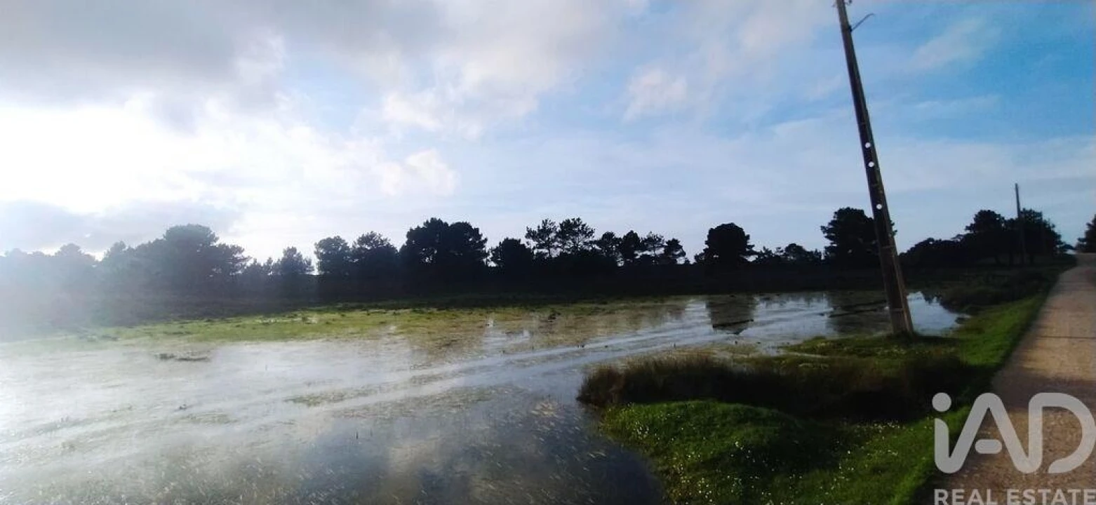Terreno para Venda em Vila do Bispo e Raposeira Foto 12