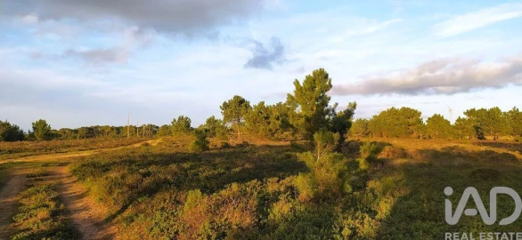 Terreno para Venda em Vila do Bispo e Raposeira