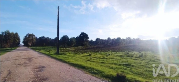 Terreno para Venda em Vila do Bispo e Raposeira