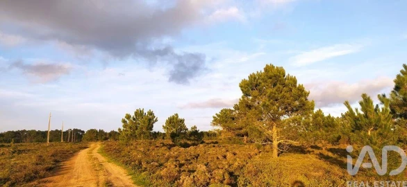 Terreno para Venda em Vila do Bispo e Raposeira