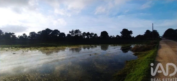 Terreno para Venda em Vila do Bispo e Raposeira