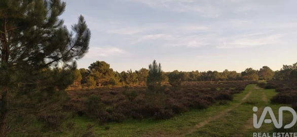 Terreno para Venda em Vila do Bispo e Raposeira