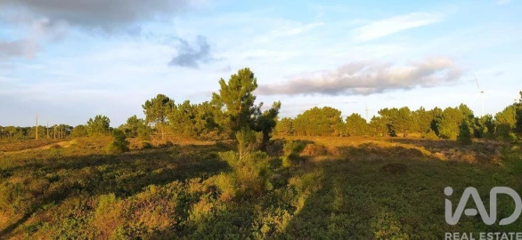 Terreno para Venda em Vila do Bispo e Raposeira