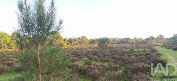 Terreno para Venda em Vila do Bispo e Raposeira