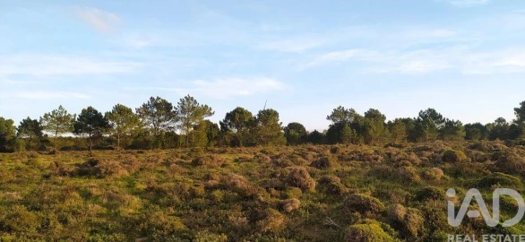 Terreno para Venda em Vila do Bispo e Raposeira