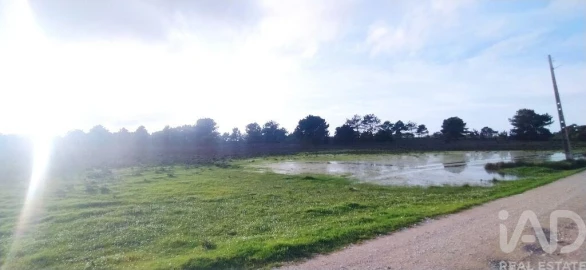 Terreno para Venda em Vila do Bispo e Raposeira