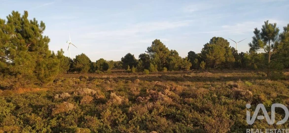 Terreno para Venda em Vila do Bispo e Raposeira