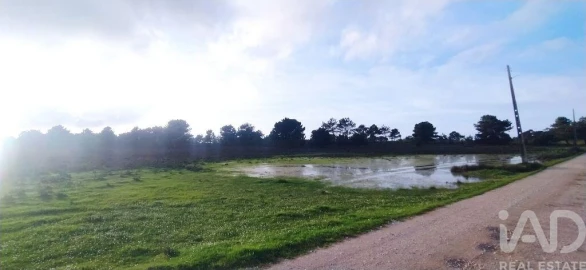Terreno para Venda em Vila do Bispo e Raposeira