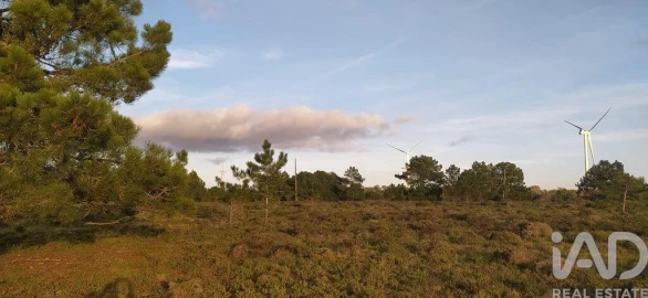 Terreno para Venda em Vila do Bispo e Raposeira