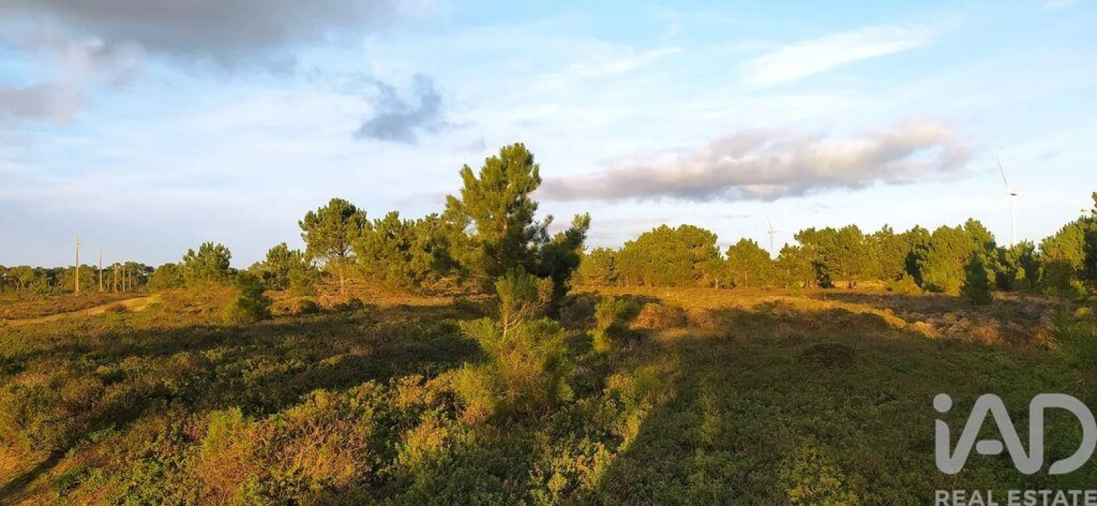 Terreno para Venda em Vila do Bispo e Raposeira Foto 24