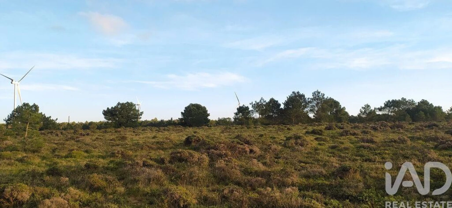 Terreno para Venda em Vila do Bispo e Raposeira Foto 11